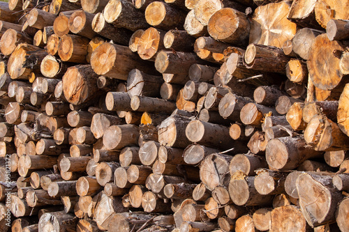 deforestation of mountain forests in northern Apennines Italy photo