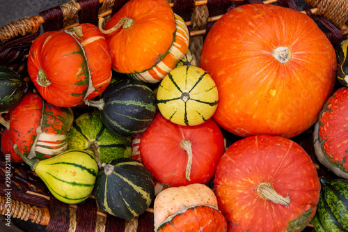 pumpkins valances for food use photo