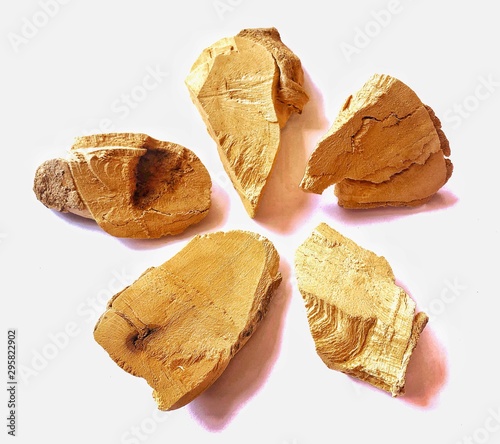 Eurycoma longifolia Jack, Herb from thailand