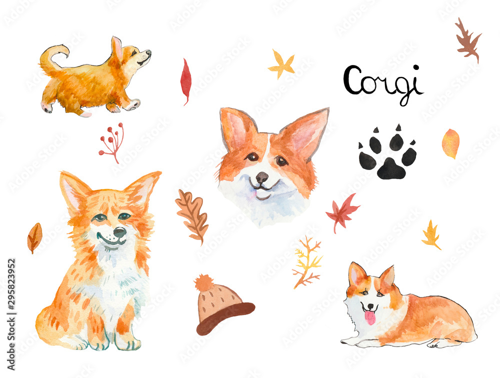 Set from a watercolor red corgi with autumn leaves. Design for textiles, stickers, packing paper and cards.