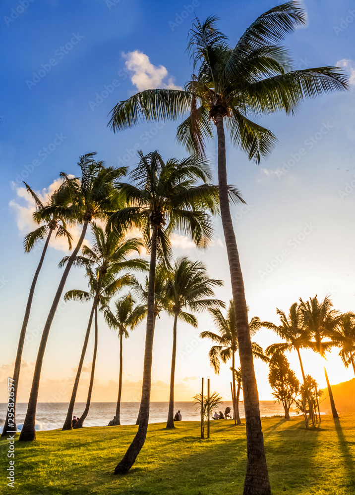 palm trees on beach of Grand’Anse, Réunion Island palm trees on beach of Grand’Anse, Réunion Island