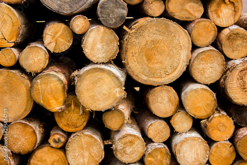 Cut log pattern. Tree trunks piled into a wall.