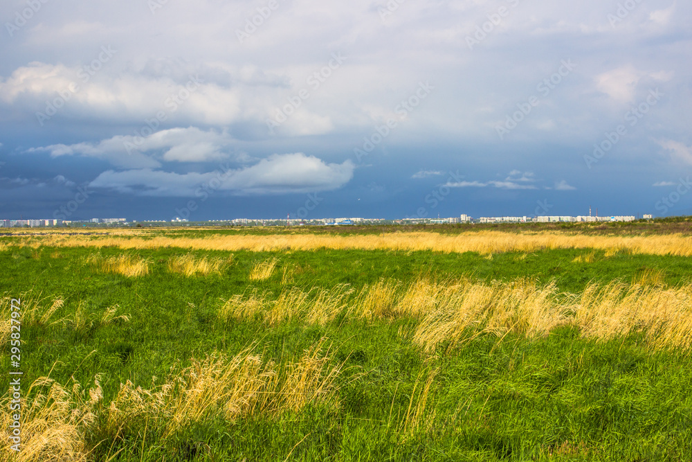 Beautiful landscape with a field with yellow and green grass. Overcast sky.