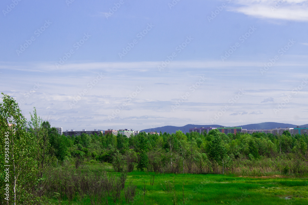 Summer landscape. Green meadows and blue sky.
