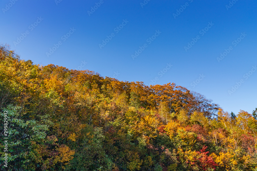 Towada Hachimantai National Park in early autumn