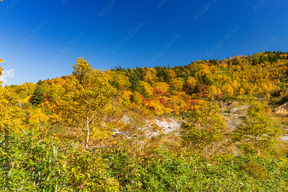 Towada Hachimantai National Park in early autumn Towada Hachimantai National Park in early autumn