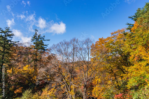 Towada Hachimantai National Park in early autumn