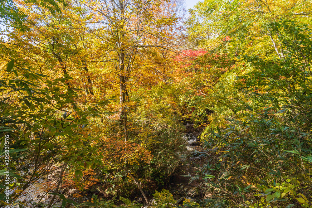 Towada Hachimantai National Park in early autumn