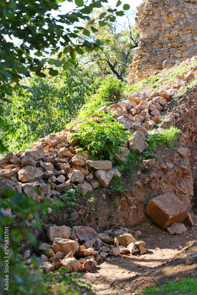 Fototapeta premium Autumn warm sunlight peace, trees, plant