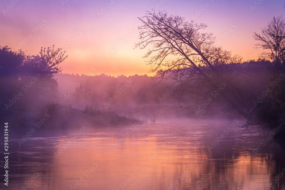 Fototapeta premium Leaning trees over river in fog during sunrise