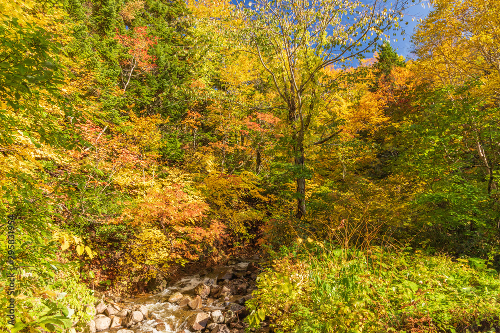 Towada Hachimantai National Park in early autumn Towada Hachimantai National Park in early autumn