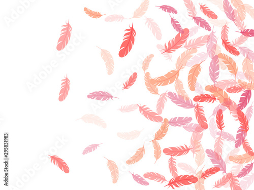 Flying feather elements airy vector design.