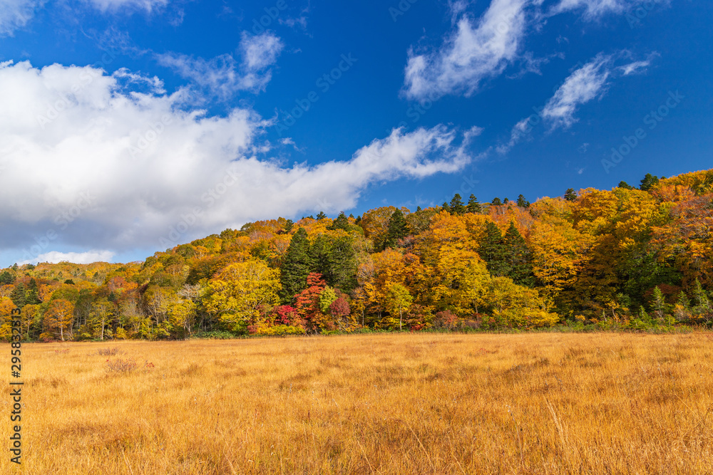 Towada Hachimantai National Park in early autumn Towada Hachimantai National Park in early autumn