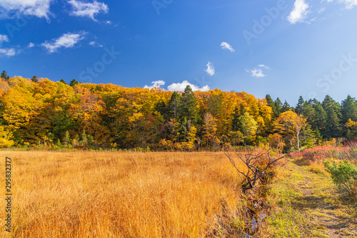 Towada Hachimantai National Park in early autumn