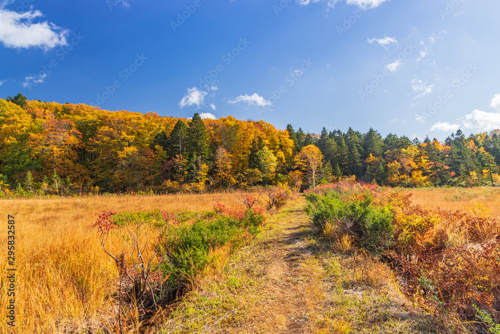 Towada Hachimantai National Park in early autumn