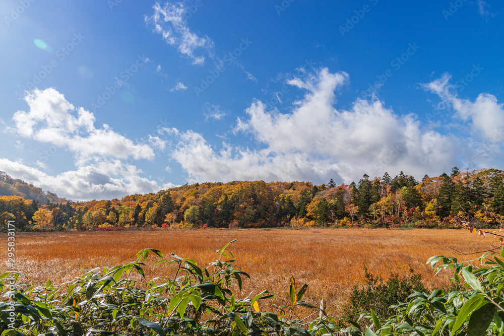 Towada Hachimantai National Park in early autumn