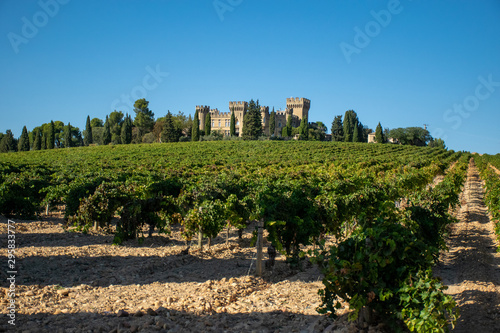 Vinyard and castel in Provence, France photo