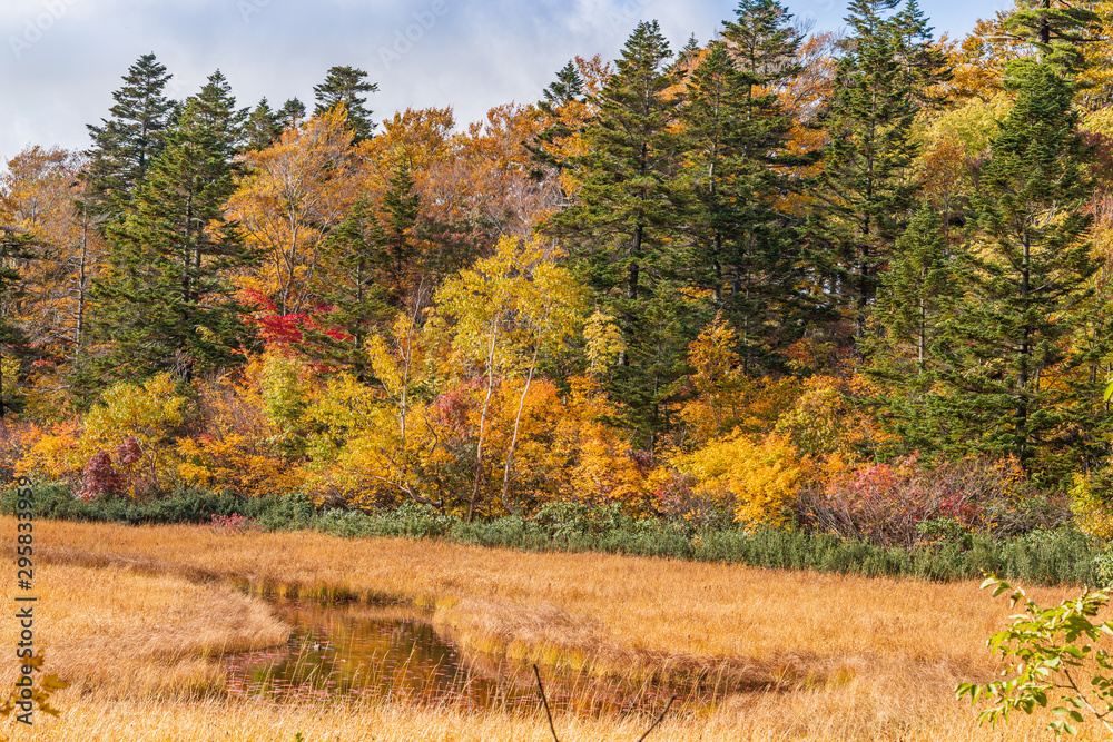 Fototapeta premium Towada Hachimantai National Park in early autumn