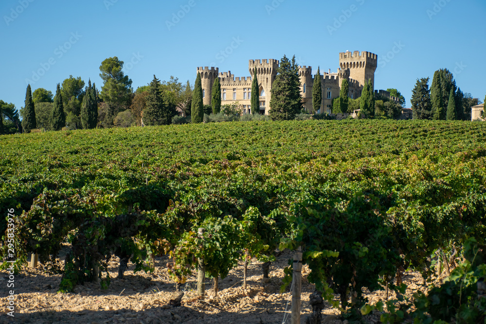 Vinyard and Castel in Provence