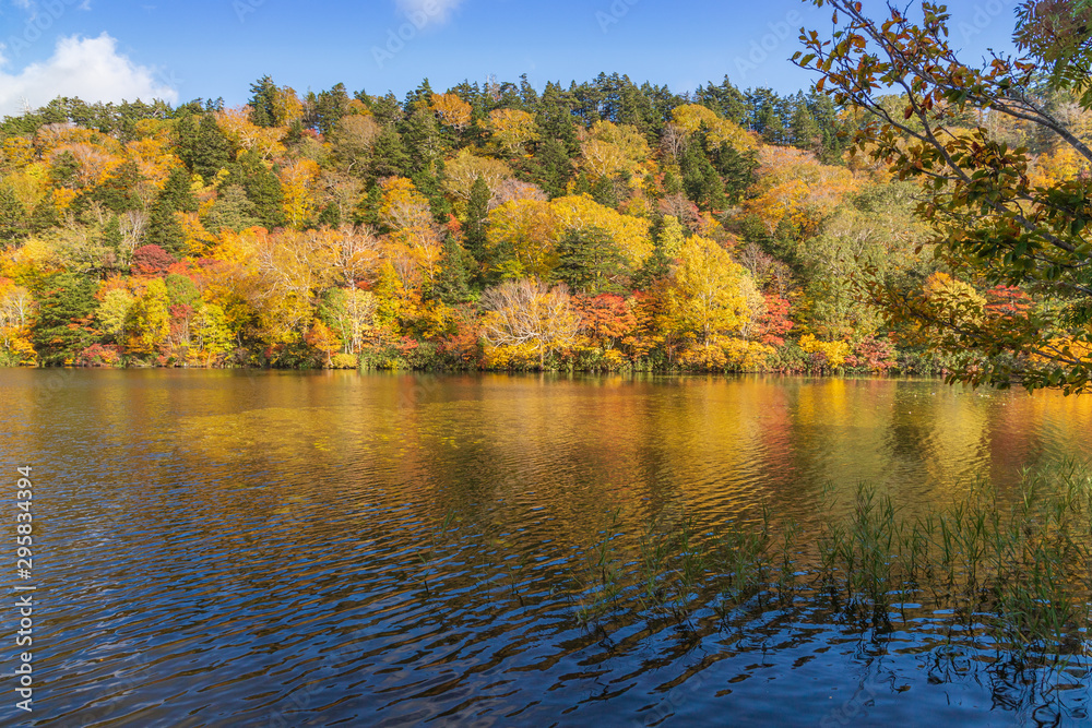 Towada Hachimantai National Park in early autumn