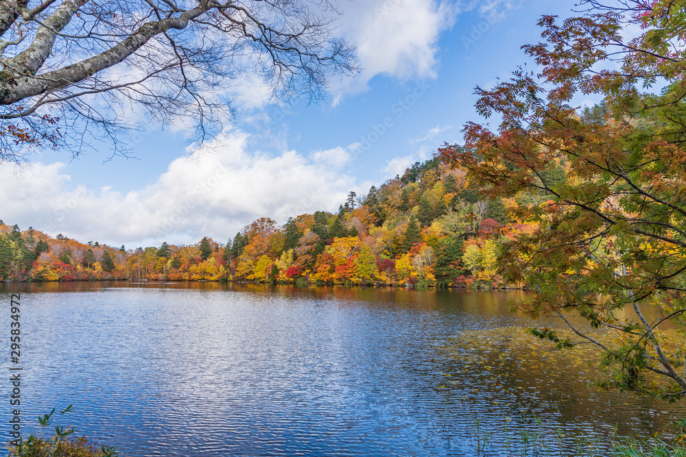 Towada Hachimantai National Park in early autumn