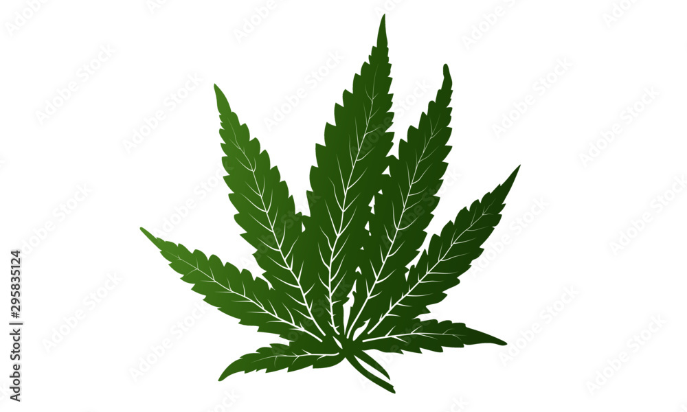 Vector green simple cannabis leave Vector green simple cannabis leave