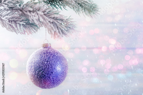 Violet Christmas ball on frosty branch. Xmas and New Year concept