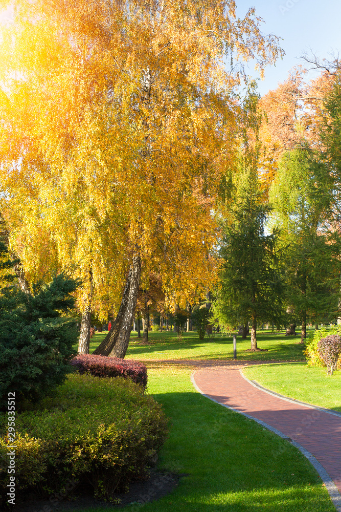 Naklejka premium Sunny day at autumn park with colorful trees. Autumn in park, landscape
