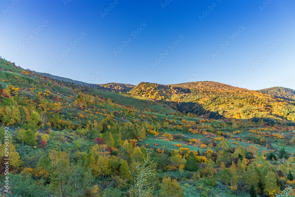 Fototapeta premium Towada Hachimantai National Park in early autumn