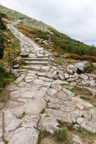 Stone path in the Krkonose/ Giant Mountains national park, Czech republic	