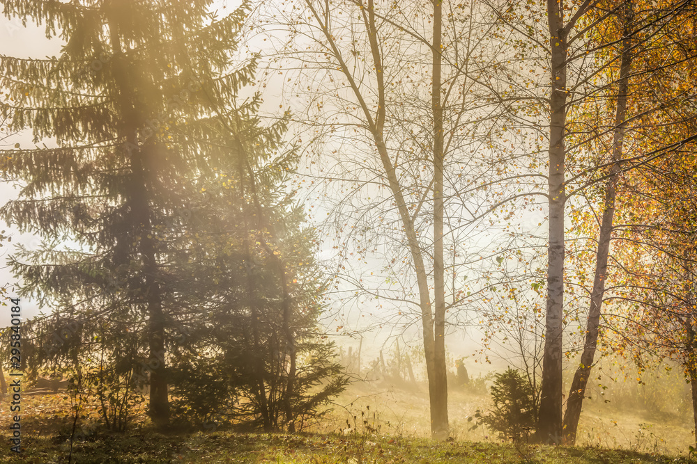 Fototapeta premium Beautiful scenery landscape Romania village mountains hills fields foggy morning first ray splitting light