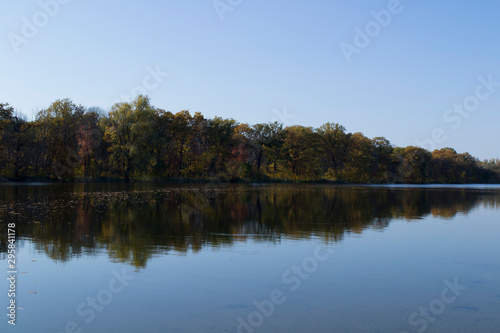 autumn landscape of the river and forest