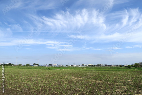 苅田と秋空の風景