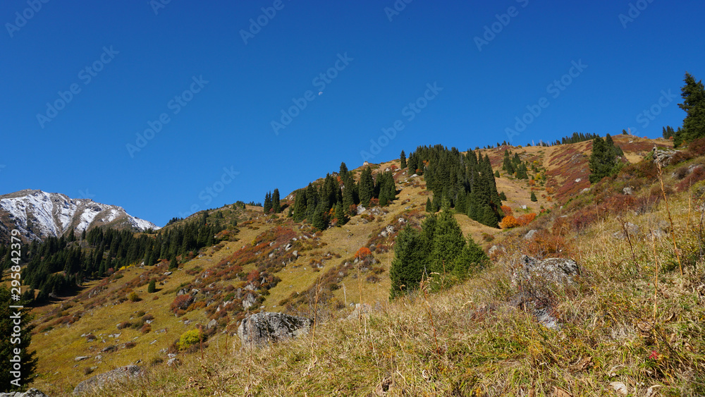 Autumn forest in the mountains. Green spruce, red-yellow trees and grass. In places you can see snow hills, mountain peaks, blue sky. Autumn landscape. Almaty, Kazakhstan. Autumn forest in the mountains. Green spruce, red-yellow trees and grass. In places you can see snow hills, mountain peaks, blue sky. Autumn landscape. Almaty, Kazakhstan.