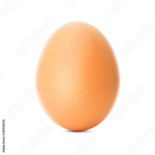Fresh brown chicken egg. Realistic vector illustration isolated on white background. Ready for your design. EPS10.