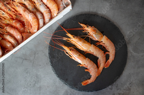 Raw red prawns on a gray background photo