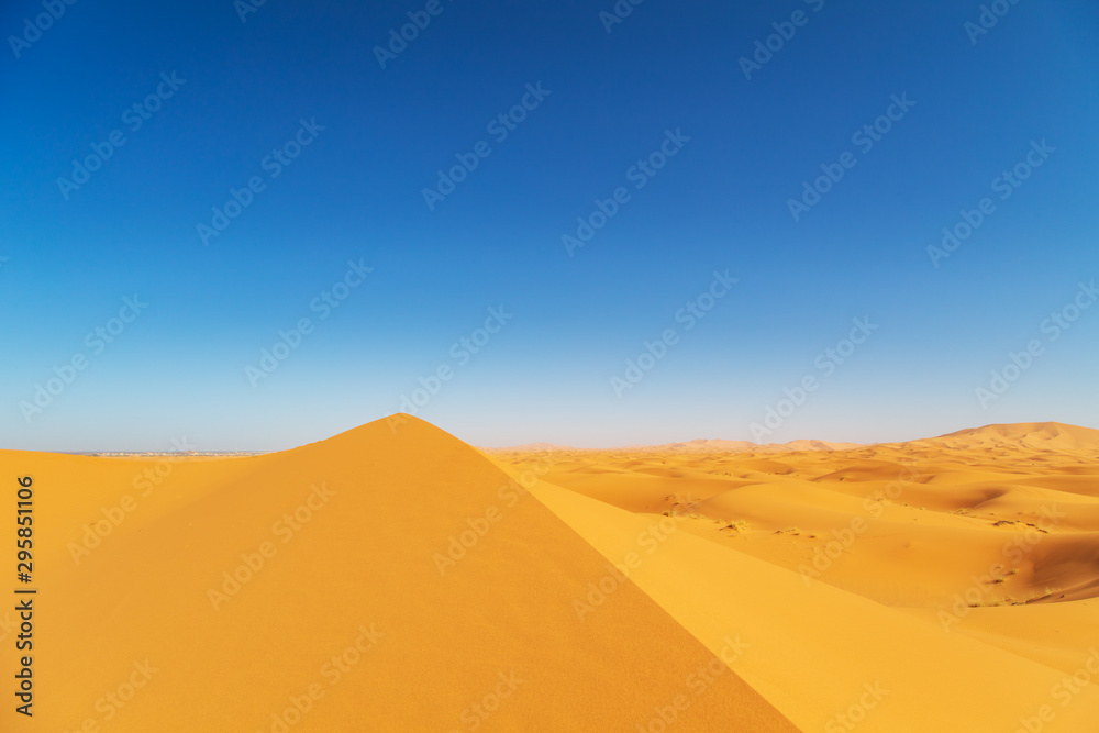 Sand Dunes of the Sahara Desert.