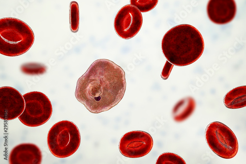 The malaria-infected red blood cells. 3D illustration showing malaria parasite Plasmodium ovale in the stage of ring-form trophozoite