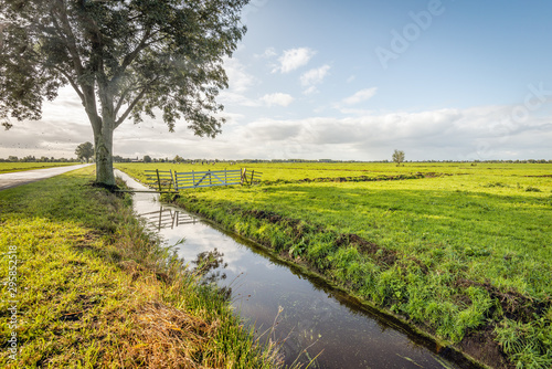 Dutch rural landscape in autumn