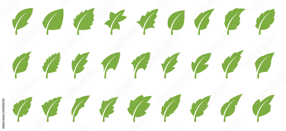 Green leaf set - obrazy, fototapety, plakaty 