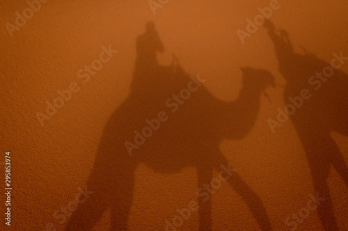 Camel shadow selfie on sand dunes at dusk