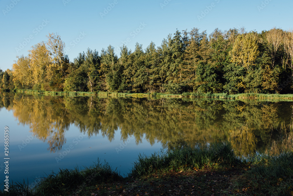 Le reflet des arbres sur un lac. Un lac avec des arbres. Une forêt du Morvan. Un lac du Morvan