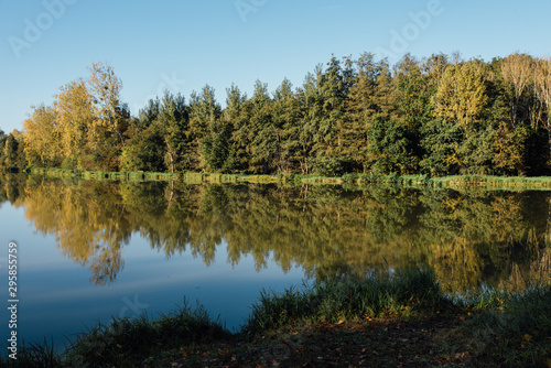 Le reflet des arbres sur un lac. Un lac avec des arbres. Une forêt du Morvan. Un lac du Morvan