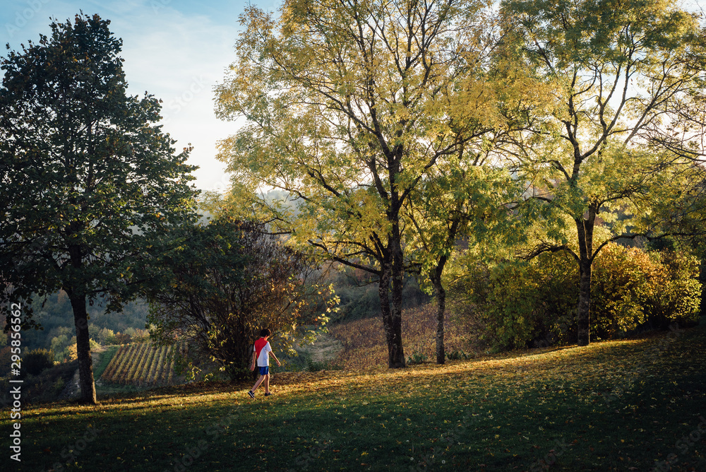 un enfant marche dans la forêt en automne un enfant marche dans la forêt en automne