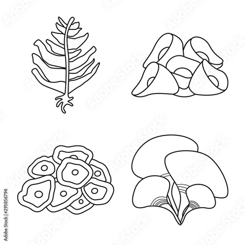 Isolated object of sea and ocean symbol. Set of sea and flora stock symbol for web. © Svitlana