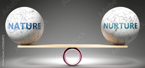 Nature and nurture in balance - pictured as balanced balls on scale that symbolize harmony and equity between Nature and nurture that is good and beneficial., 3d illustration photo