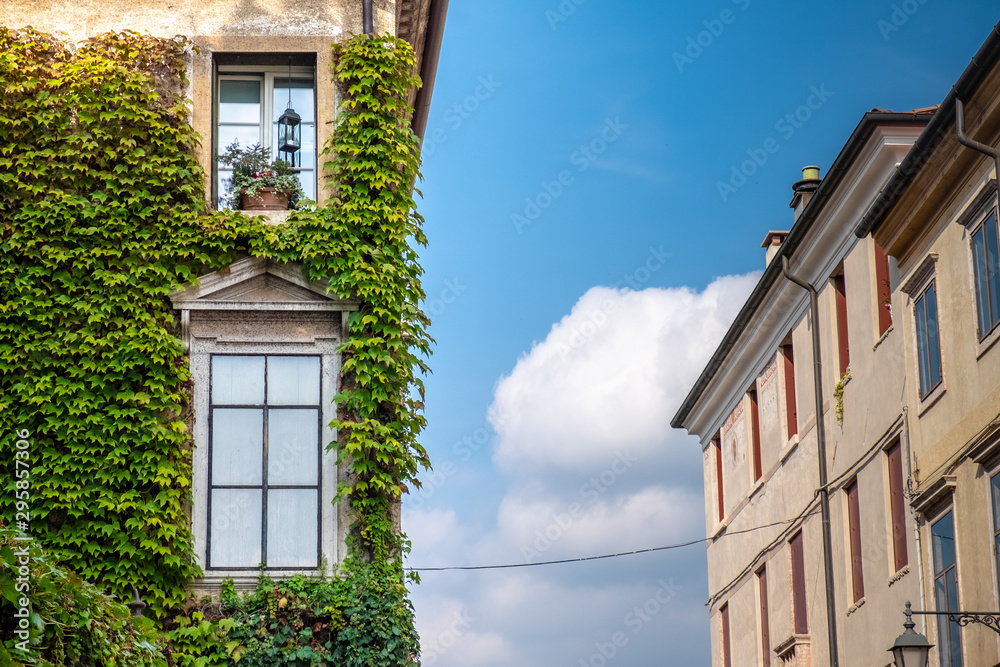 Ivy-covered building