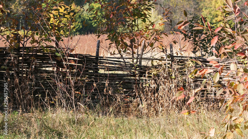 Autumn colorful sketching background