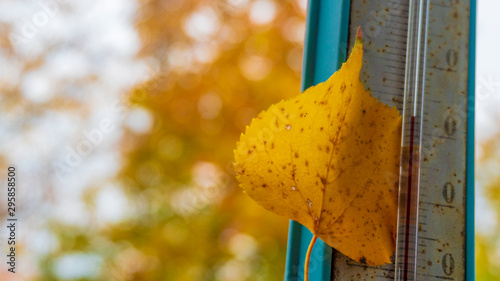 Foto yellow leaf on a thermometer