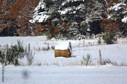 paysage enneige Auvergne photo